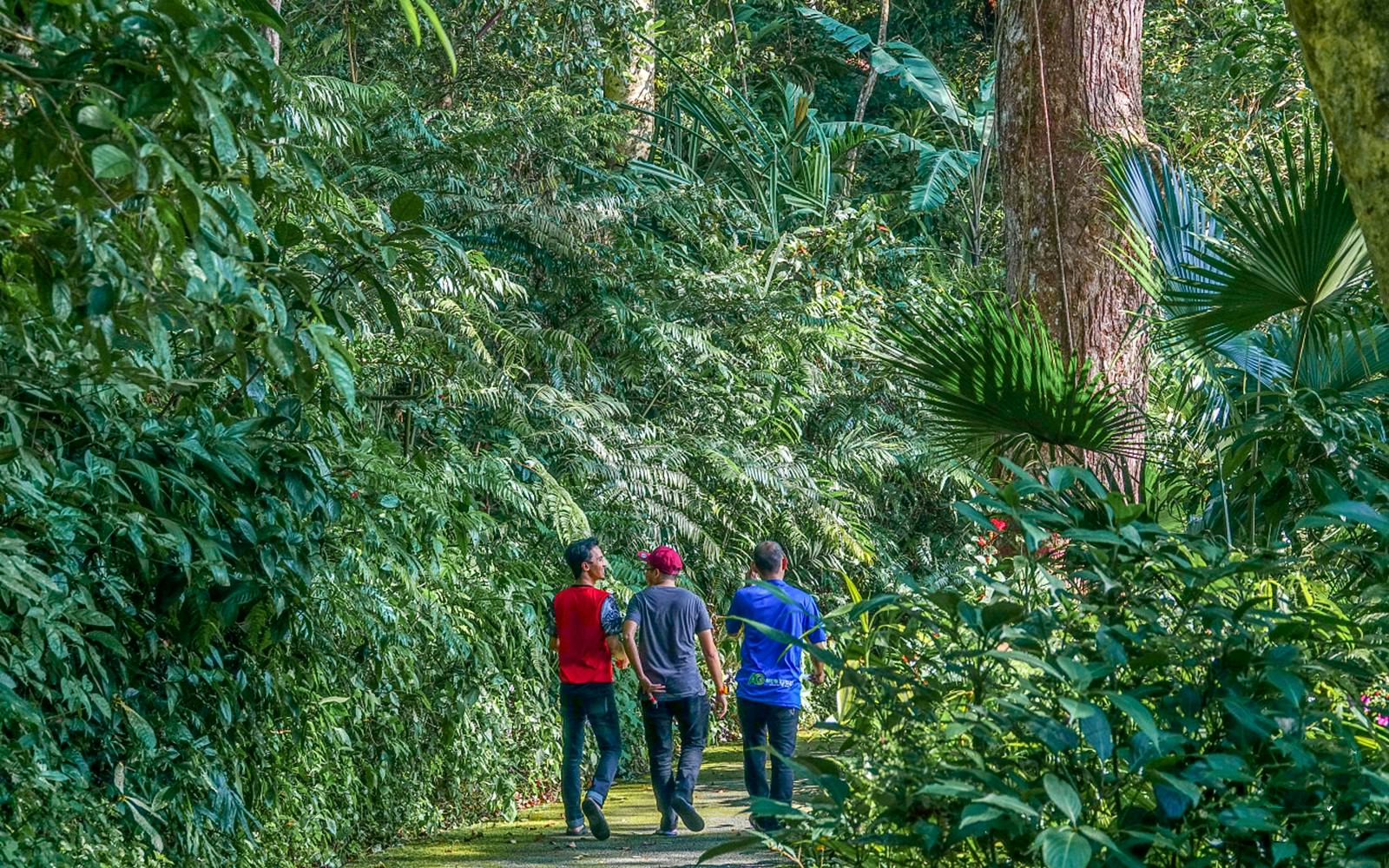 The Habitat Penang Hill Tickets Image 3