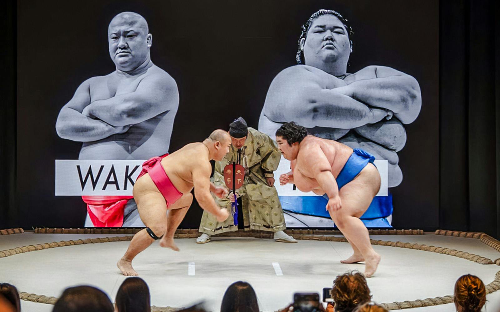 The Sumo Hall Hirakuza Osaka Admission Ticket Image 1