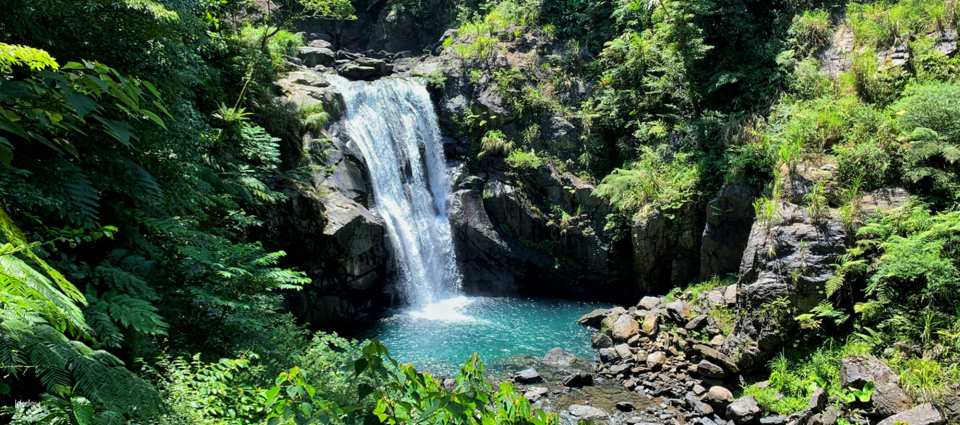 Tickets for Wulai Neidong National Forest Recreation Area, New Taipei City