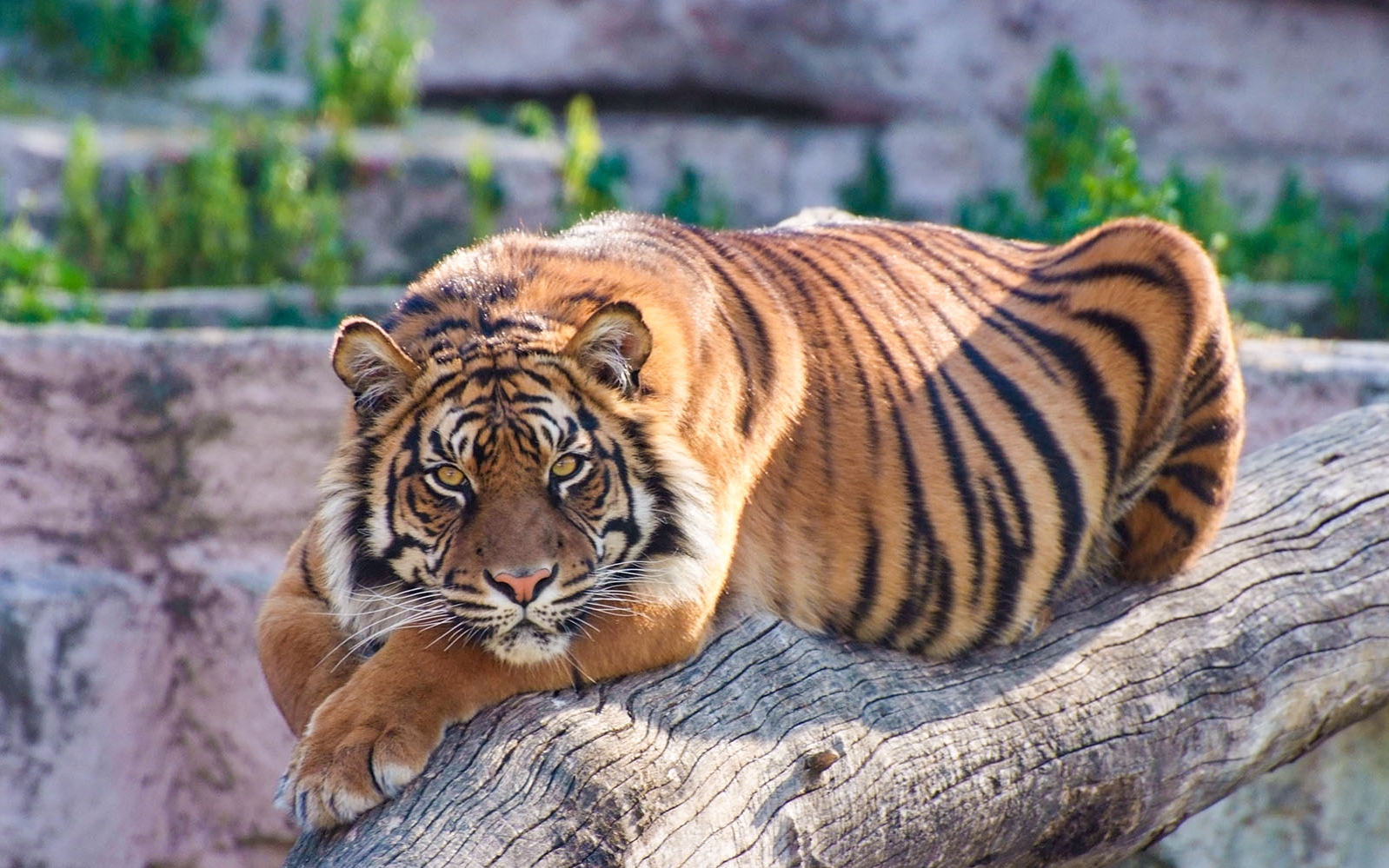 Tickets to Barcelona Zoo Image 1