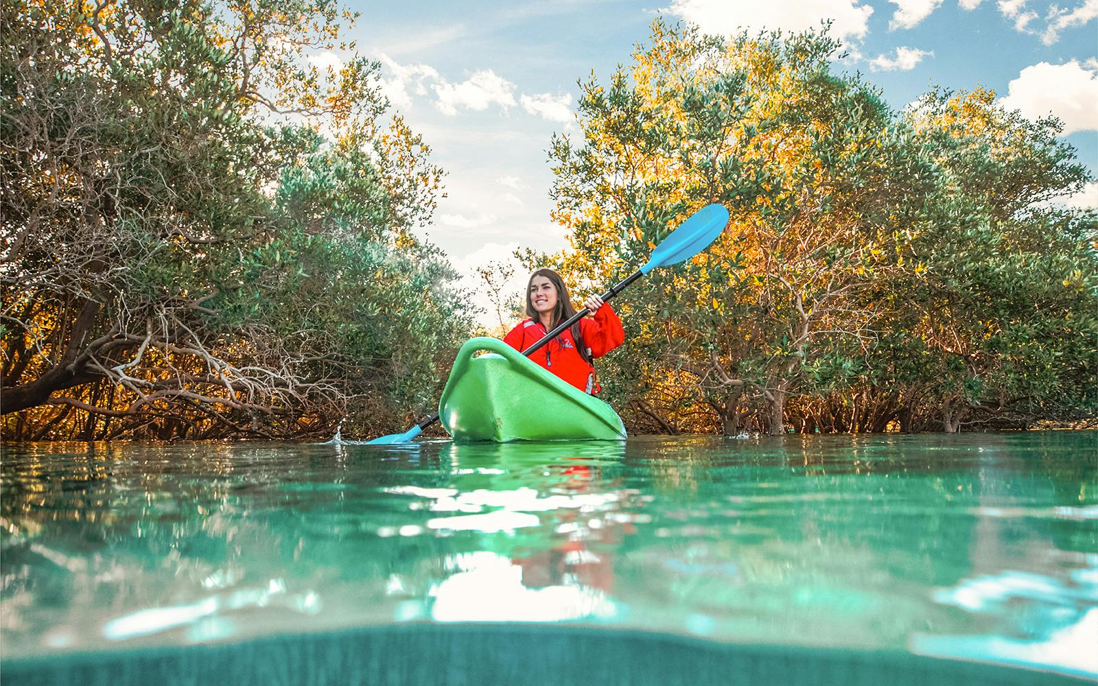 Tickets to Mangrove Kayaking in Abu Dhabi Image 1