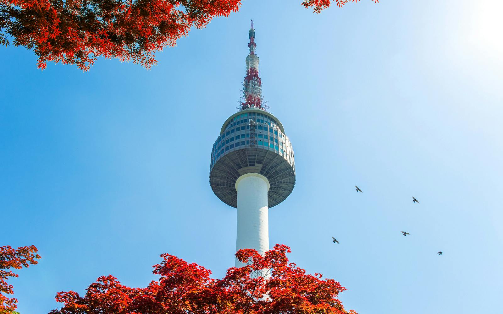 Tickets to N Seoul Tower Observatory Image 1