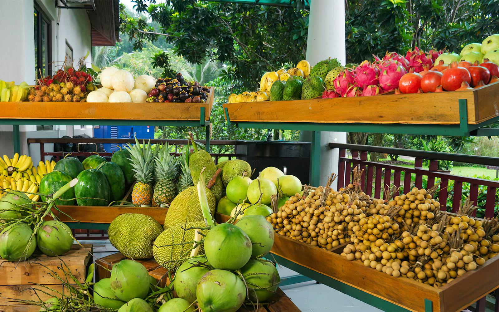 Tickets to Selangor Fruit Valley Image 3