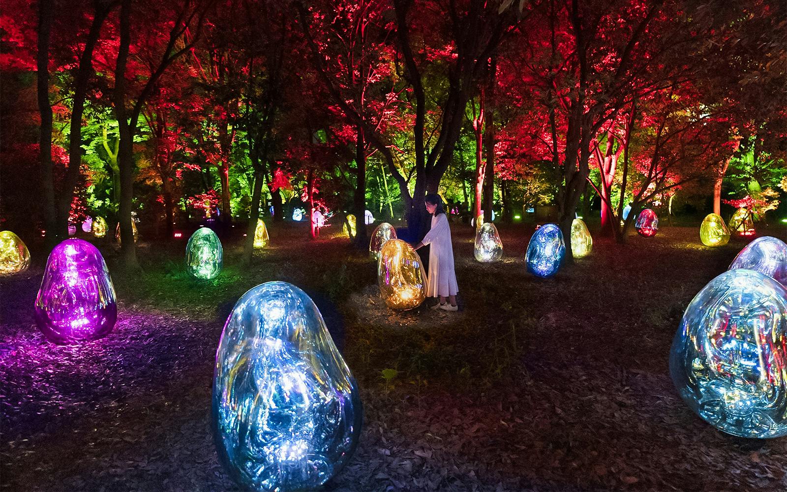 Tickets to teamLab Botanical Garden in Osaka Image 1