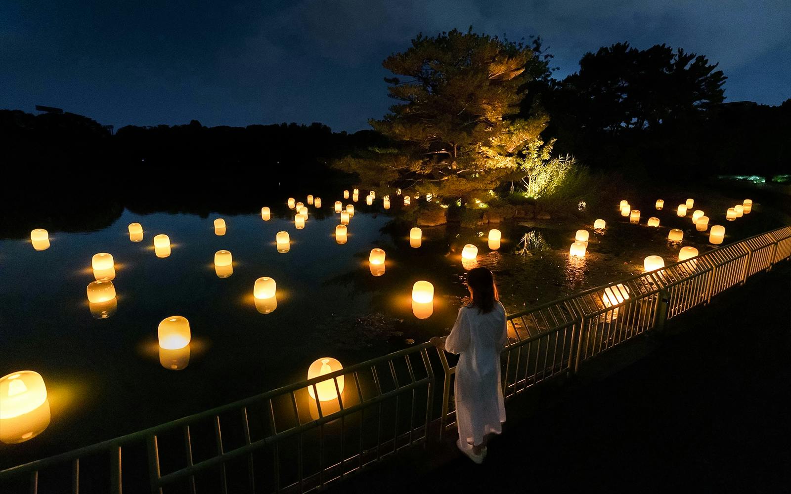 Tickets to teamLab Botanical Garden in Osaka Image 2