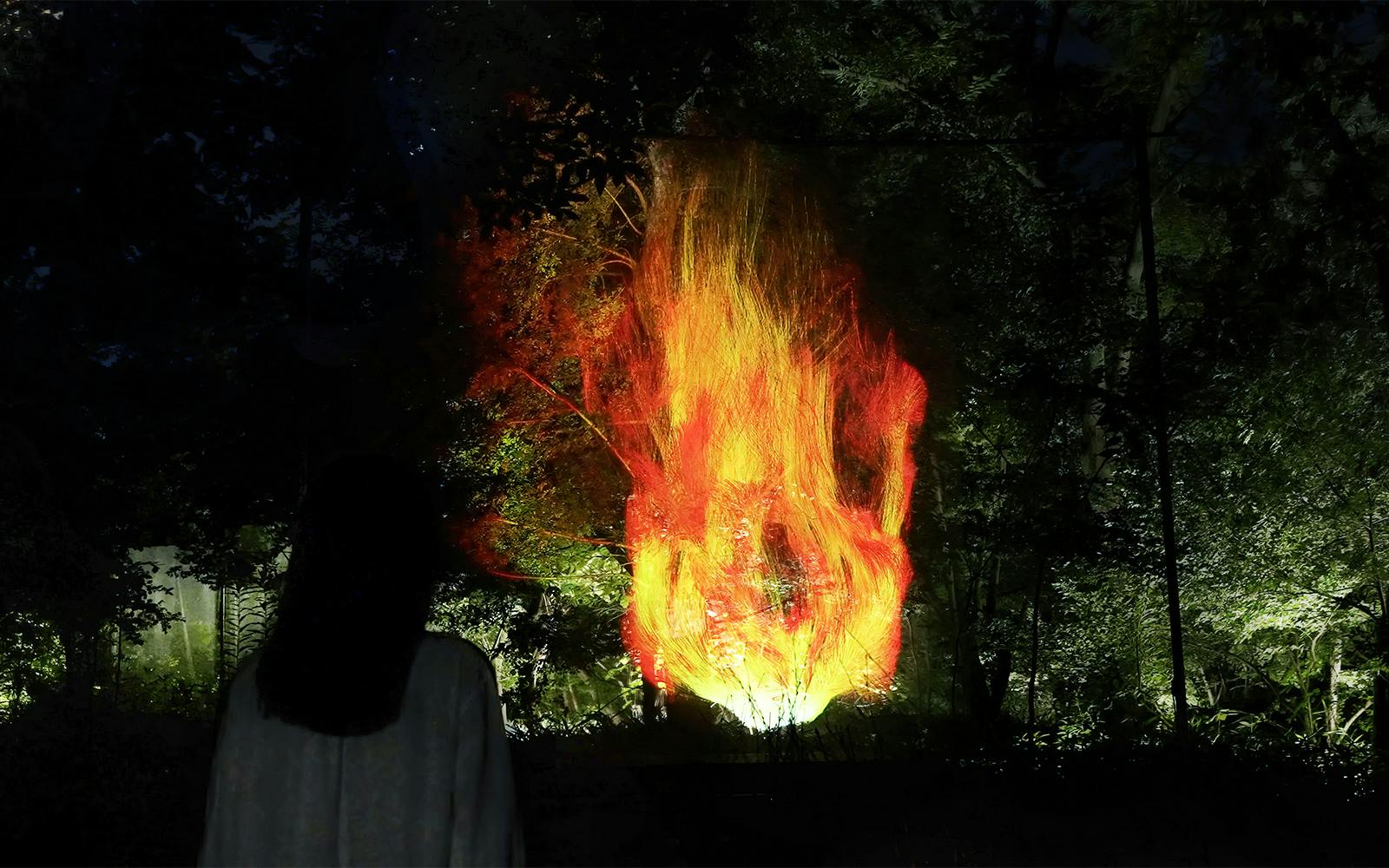 Tickets to teamLab Botanical Garden in Osaka Image 7