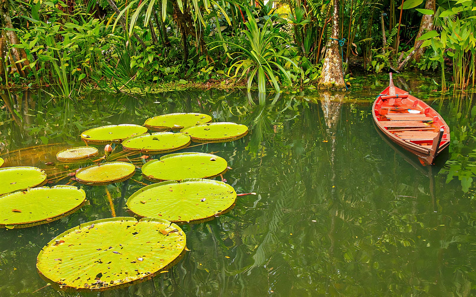 Tickets to Tropical Spice Garden Penang Image 3