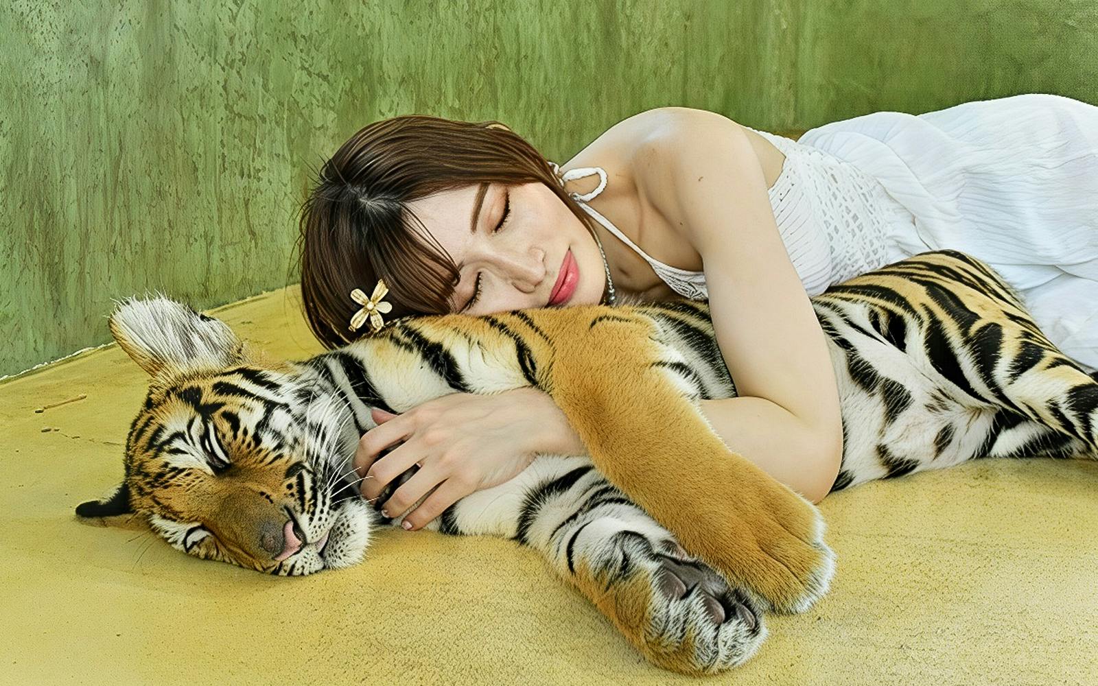 Tiger Kingdom Tickets with Private Transfers & Tiger Interaction  Image 3