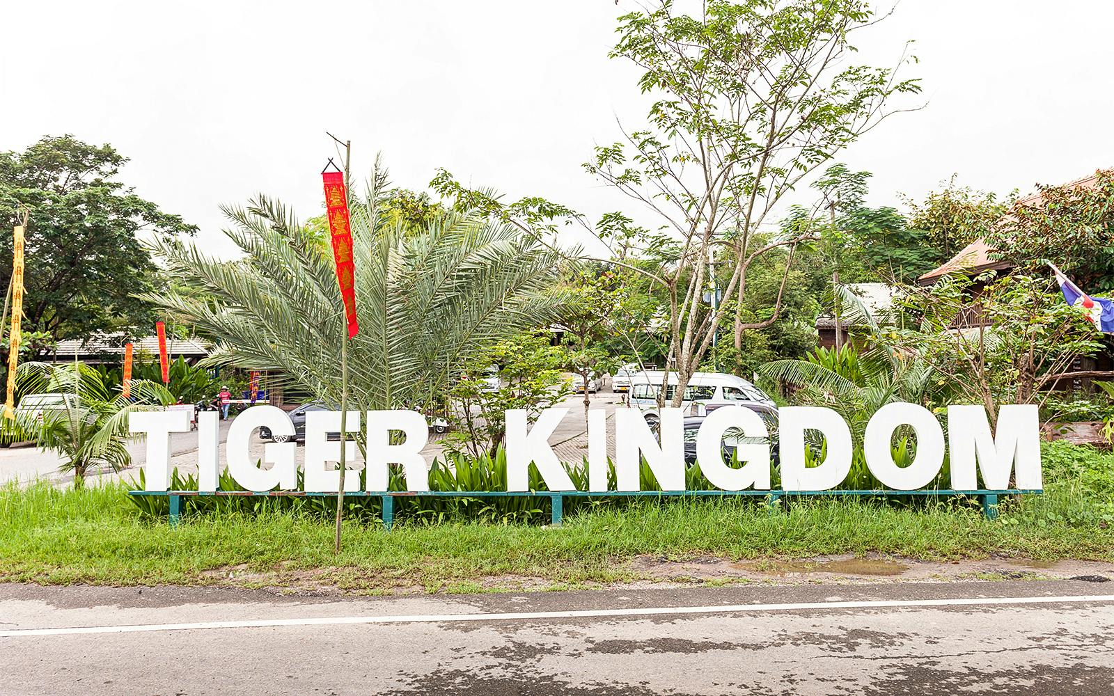 Tiger Kingdom Tickets with Private Transfers & Tiger Interaction  Image 4