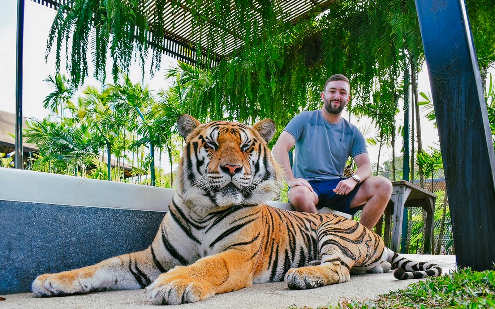 Tiger Park Tickets Image 2