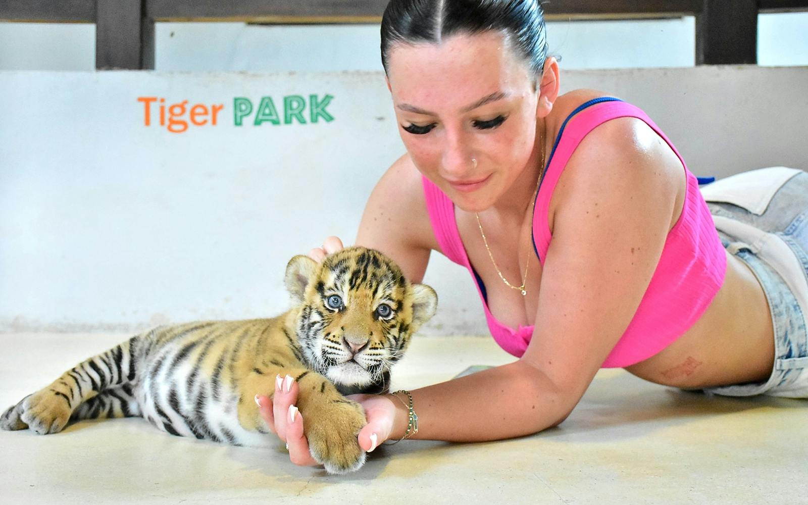 Tiger Park Tickets: Non-Thai Residents Image 3