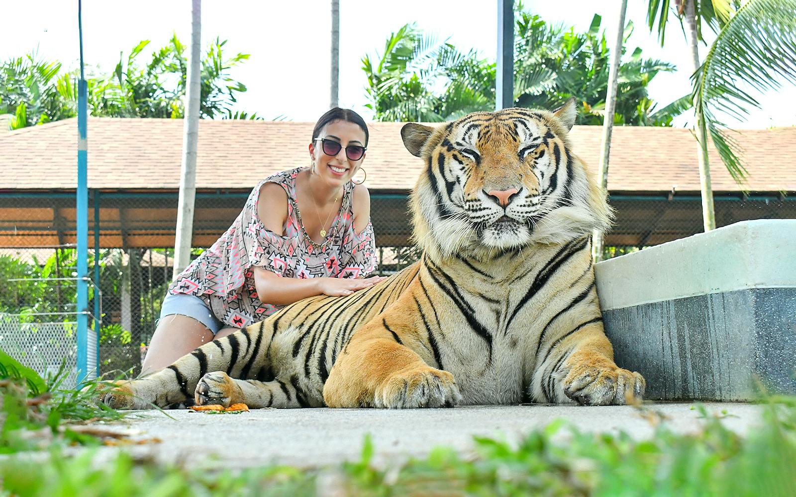 Tiger Park Tickets with Tiger Interactions Image 1