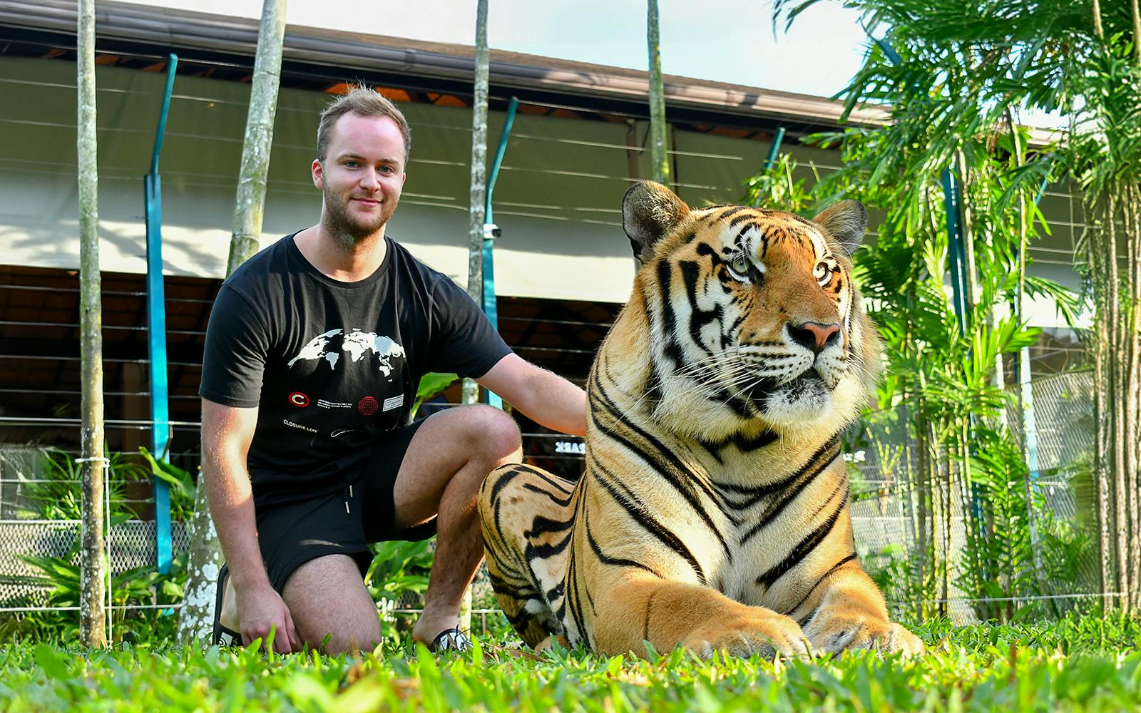 Tiger Park Tickets with Tiger Interactions: Non-Thai Residents Image 2