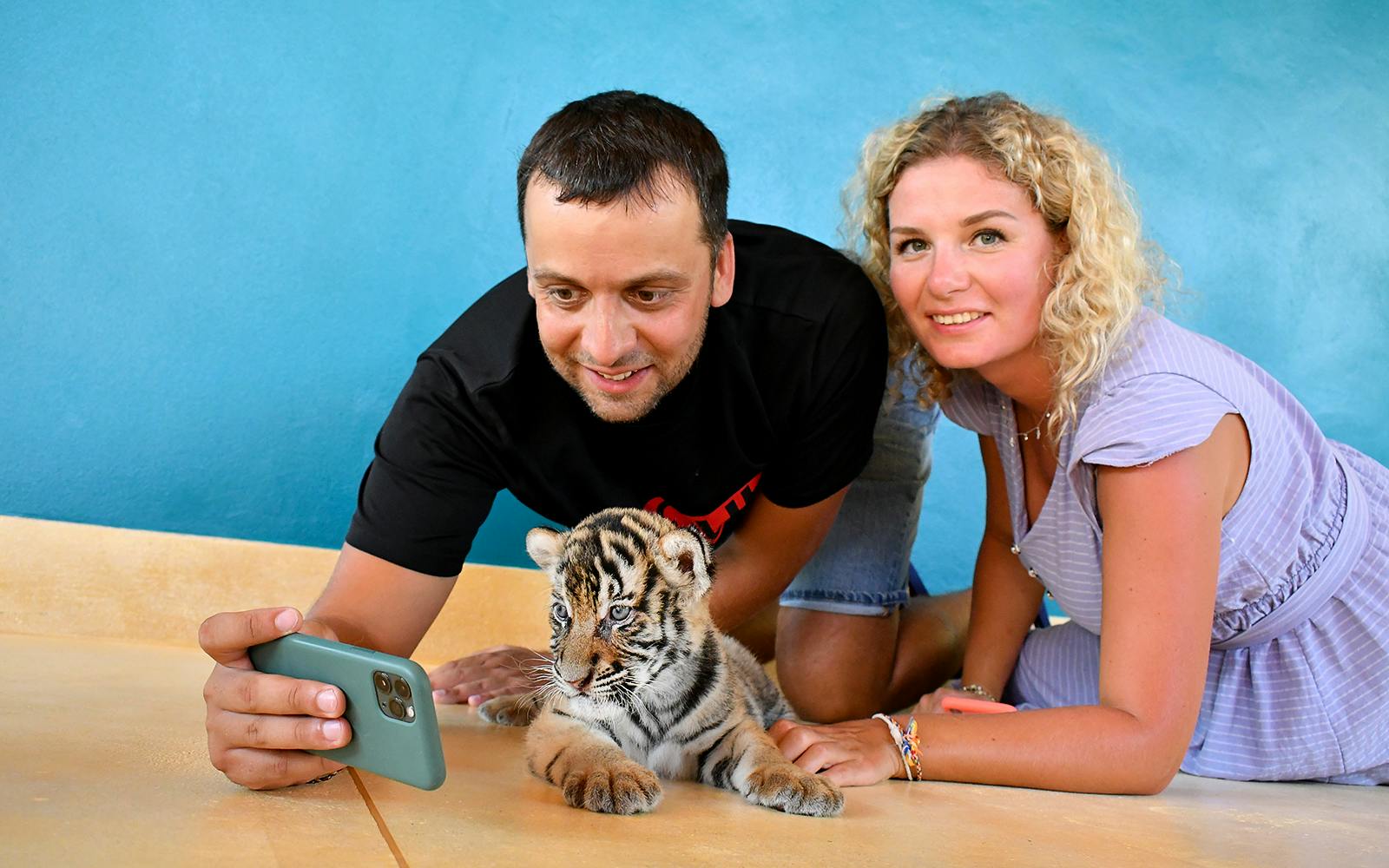 Tiger Park Tickets with Tiger Play Packages Image 3