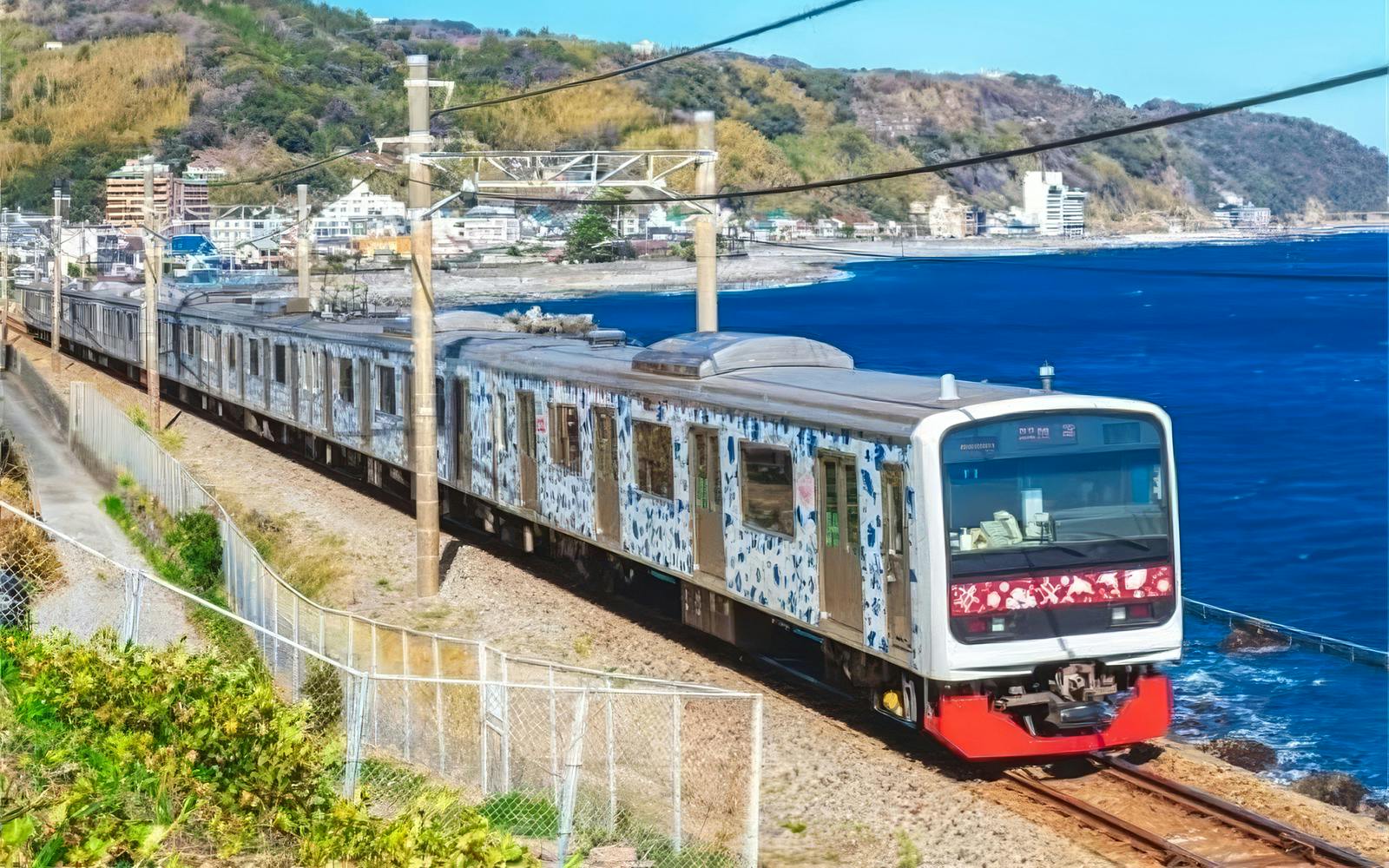 Tokyo Cherry Blossom Day Tour: Kawazu Cherry Blossom Festival and Jogasaki Coast Image 2