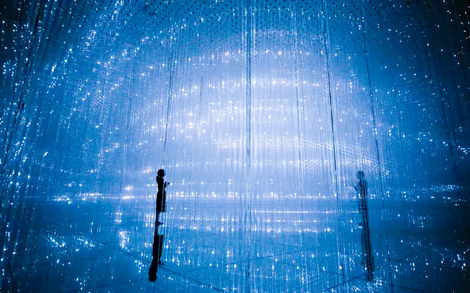 Tokyo City Pass: Free Entry to teamLab Planets & 4 Top Landmarks Image 10