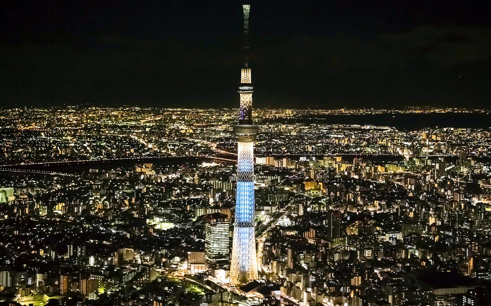 TOKYO SKYTREE Tembo Deck Night Entry Tickets with Alcoholic Drink Image 4