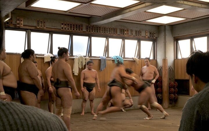Tokyo Sumo Morning Practice Tour w/ Ring-Side Seat + Photo S Image 10