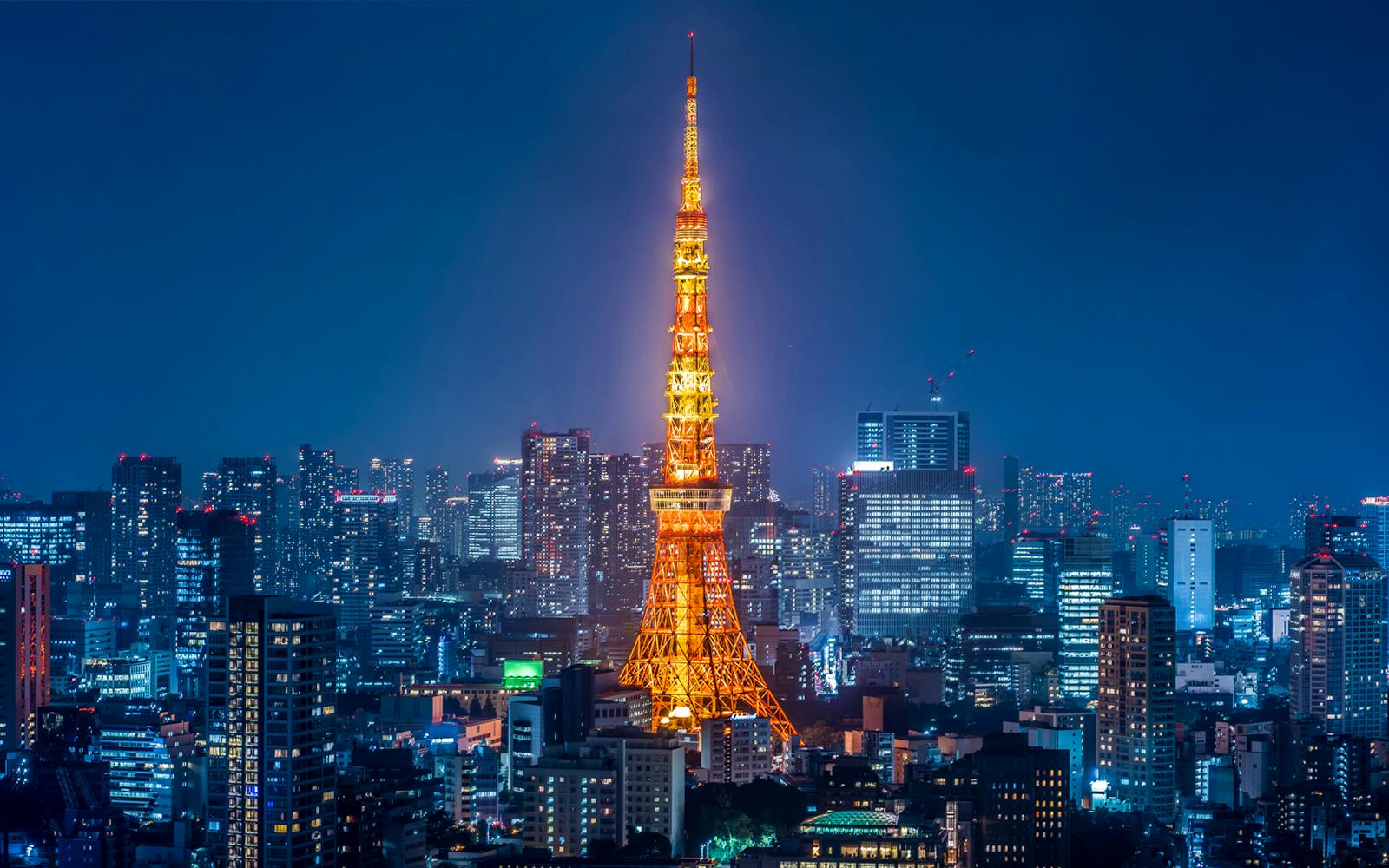 Tokyo Tower Tickets Image 1