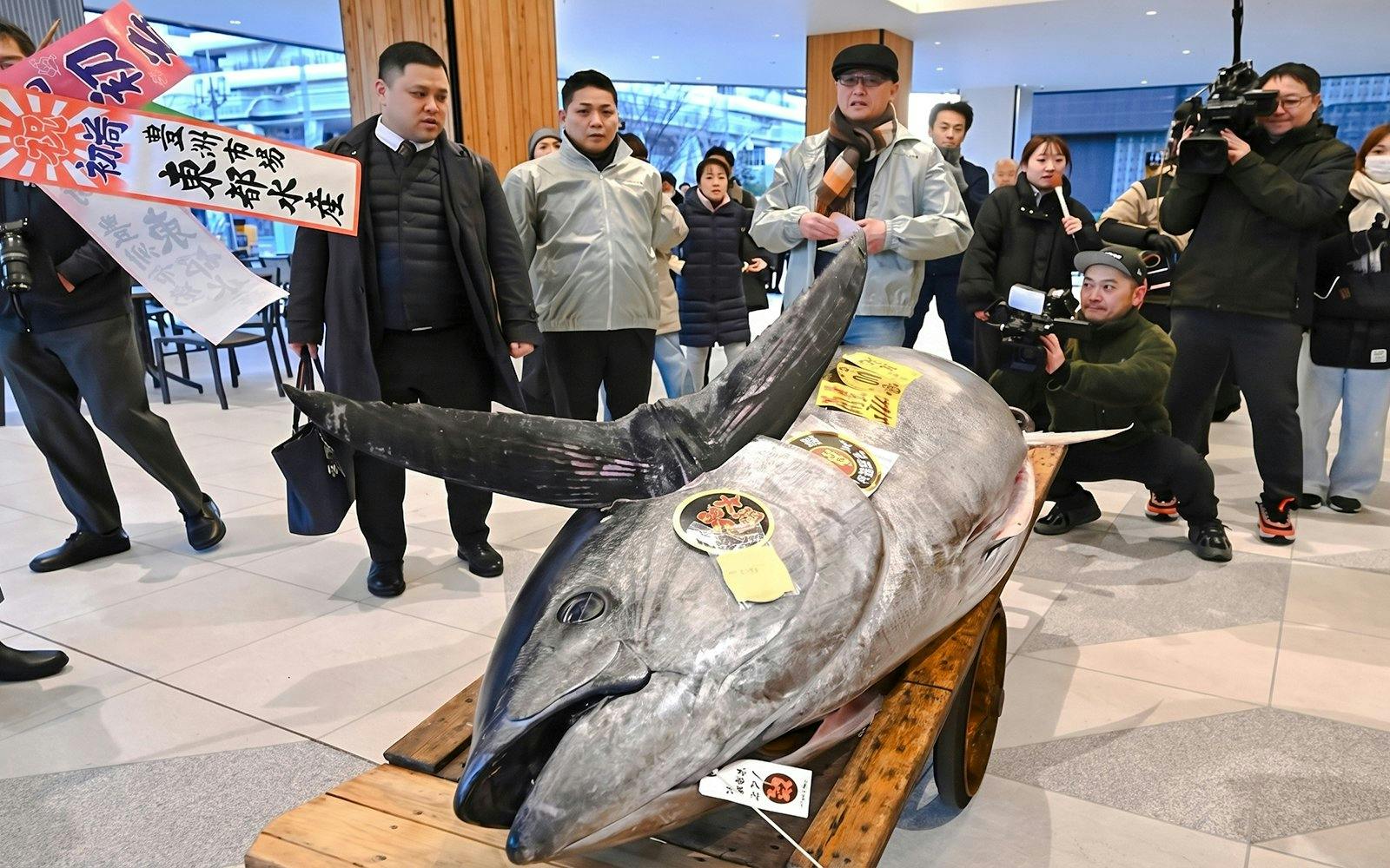 Tokyo: Toyosu Tuna Auction and Tsukiji Market Guided Walking Tour Image 1