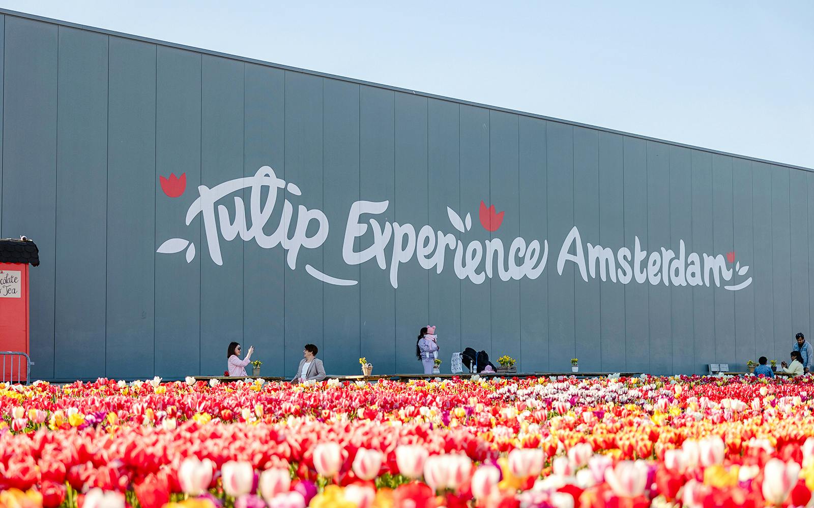 Tulip Experience Tickets with Tulip Fields Visit and Optional Transfers from Amsterdam Image 2