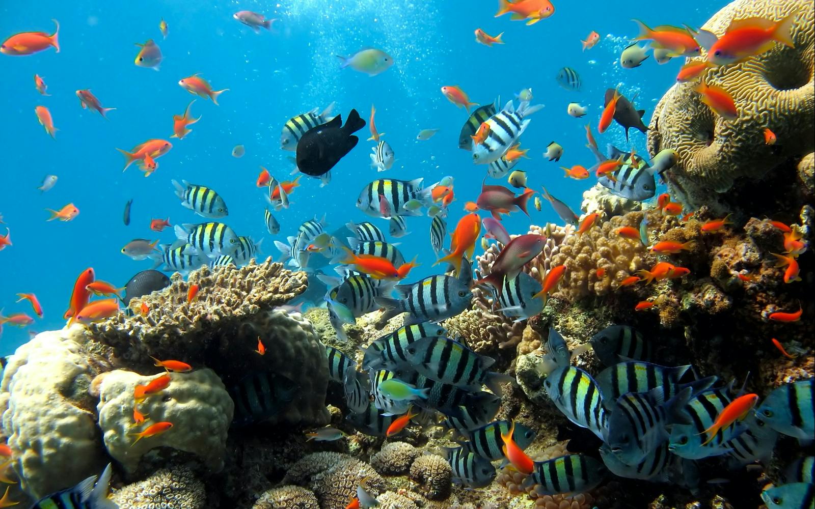 Underwater World Pattaya Image 1