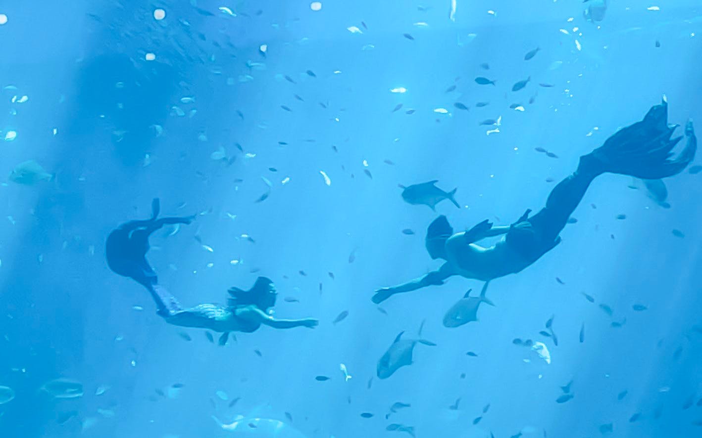 VinWonders Phu Quoc Tickets Image 5