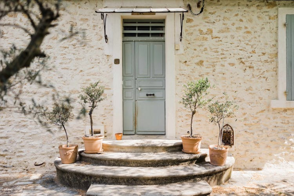 Visit of a lavender field in Aix-en-Provence