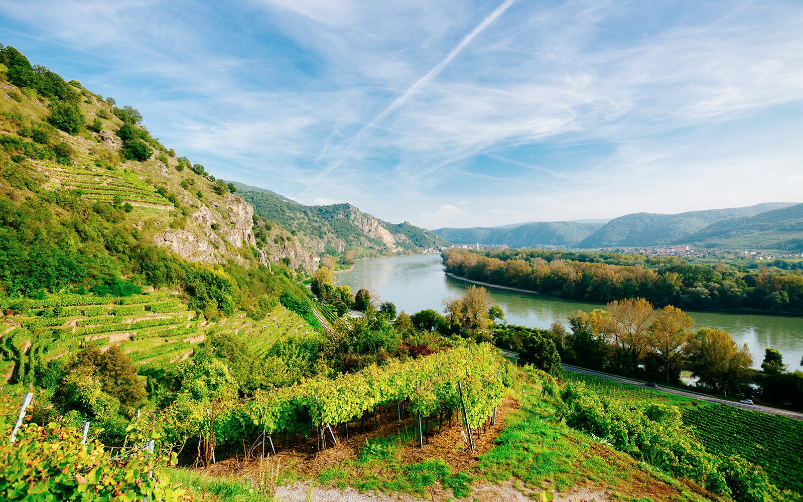 Wachau Day Trip With Free Time in Melk Image 5