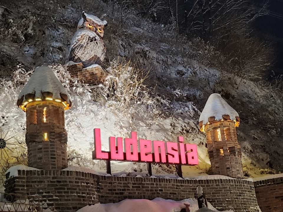 Yeoju Ludensia Admission Ticket | South Korea