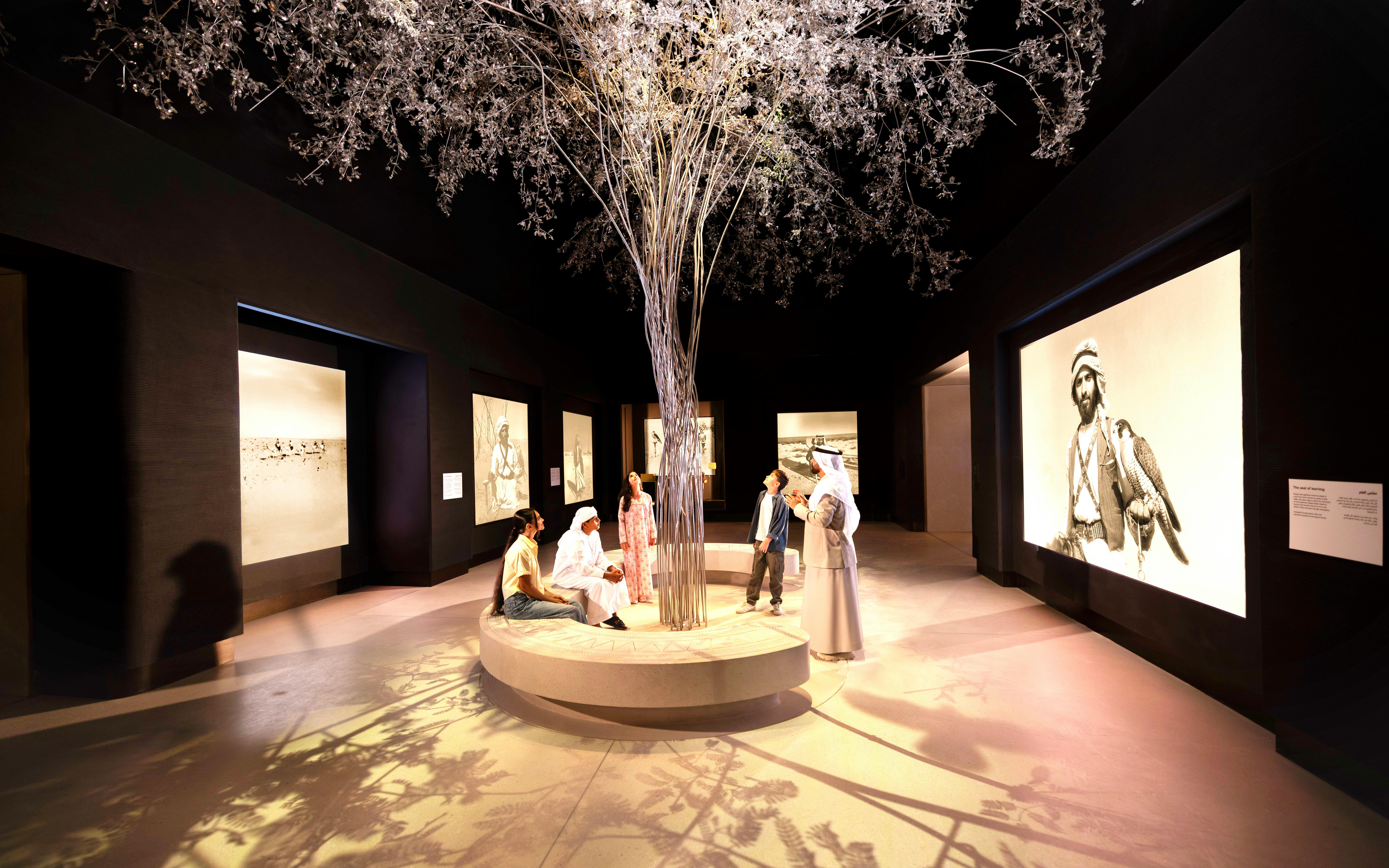Zayed National Museum Tickets Image 5