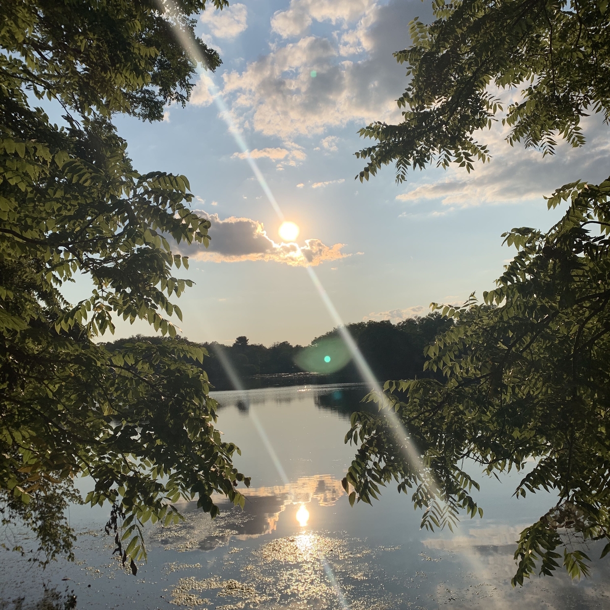 sunshinepraying