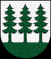 Siki profilová fotka