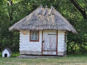 krvinka profilová fotka