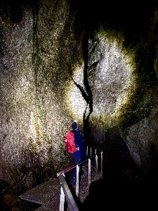 AdamHamara profilová fotka