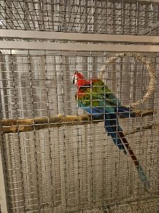 peters profilová fotka