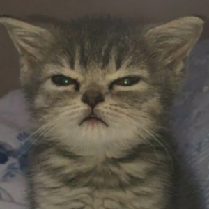 Lindy profilová fotka