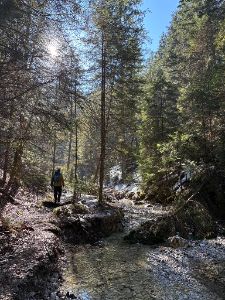 Dusky1986 profilová fotka