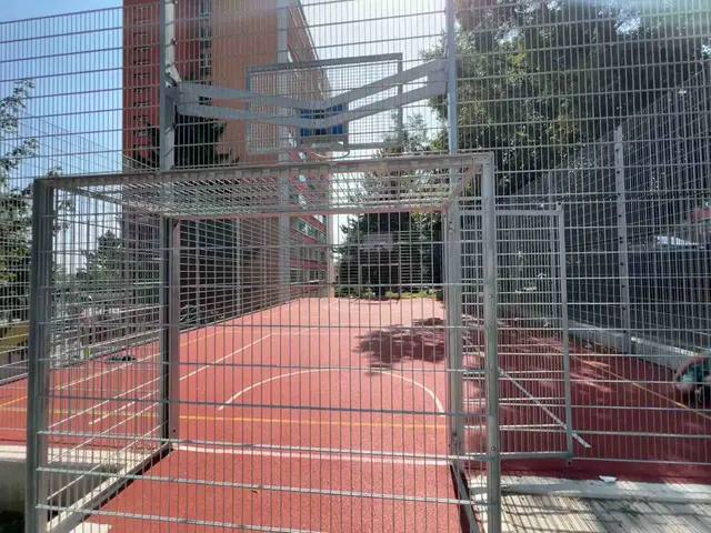 Basket Vychodilova