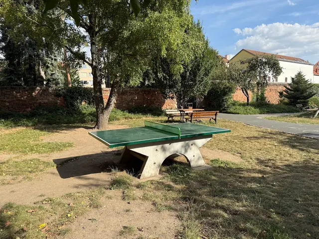 Ping Pong v centru města