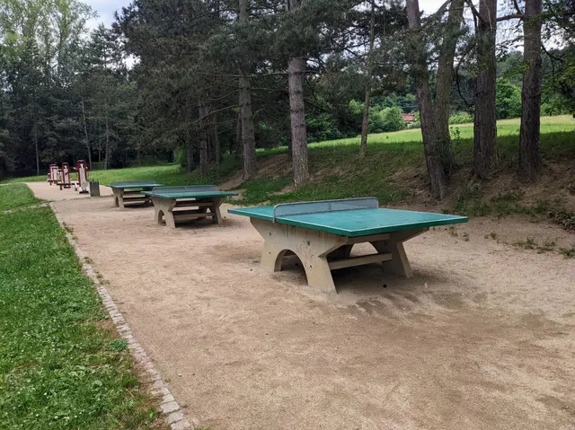 Ping Pong Bystrc