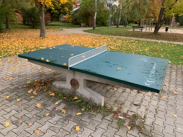 Pin Pong Pražského povstání