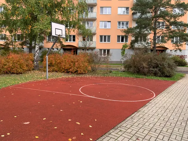 Basketbal Jaselská