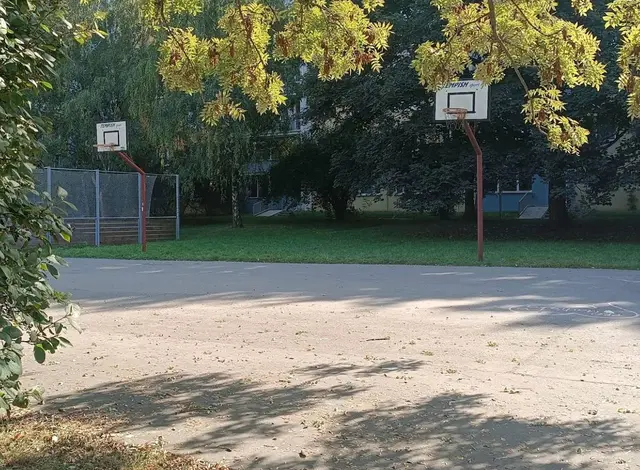 Basket Bilinská