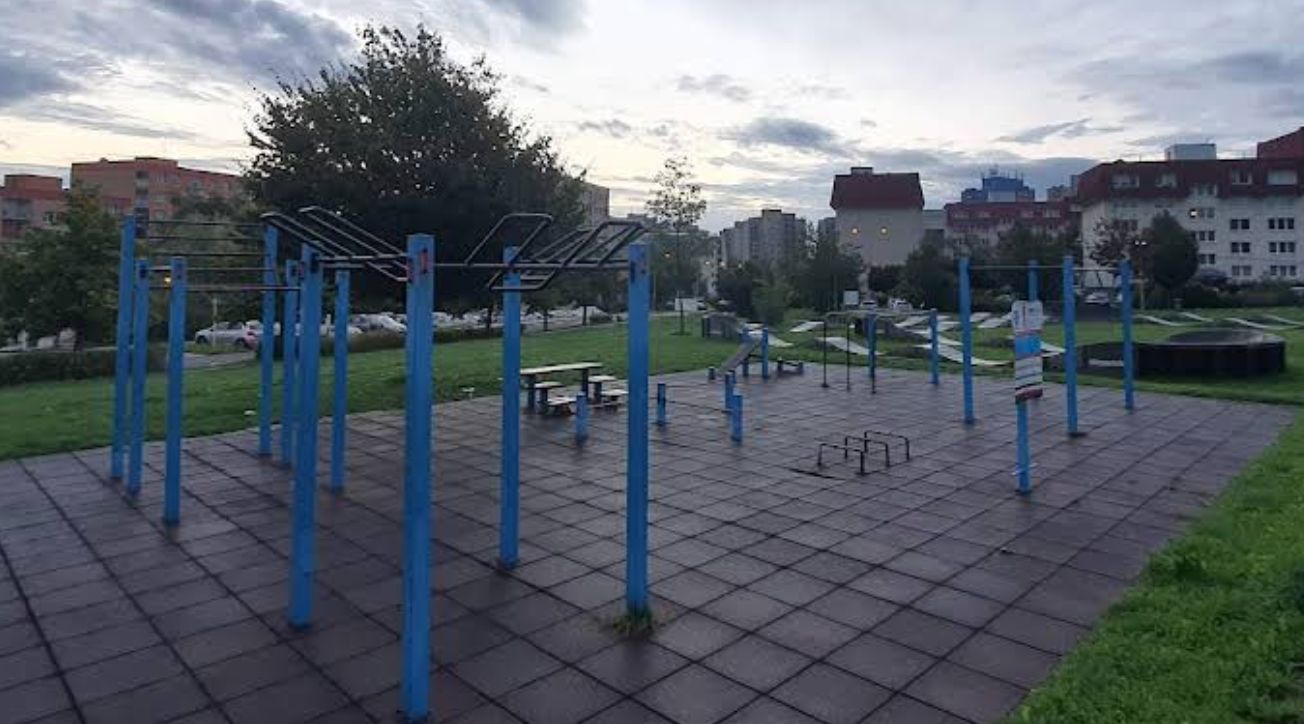 Workoutové hřiště Workout Bělský les – Ostrava