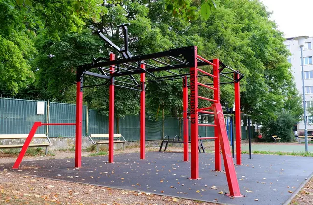 Workout Fibichova