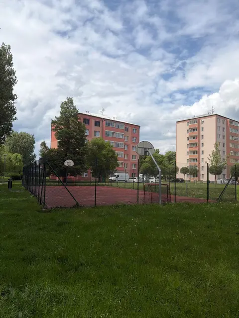 Basketbal Družba