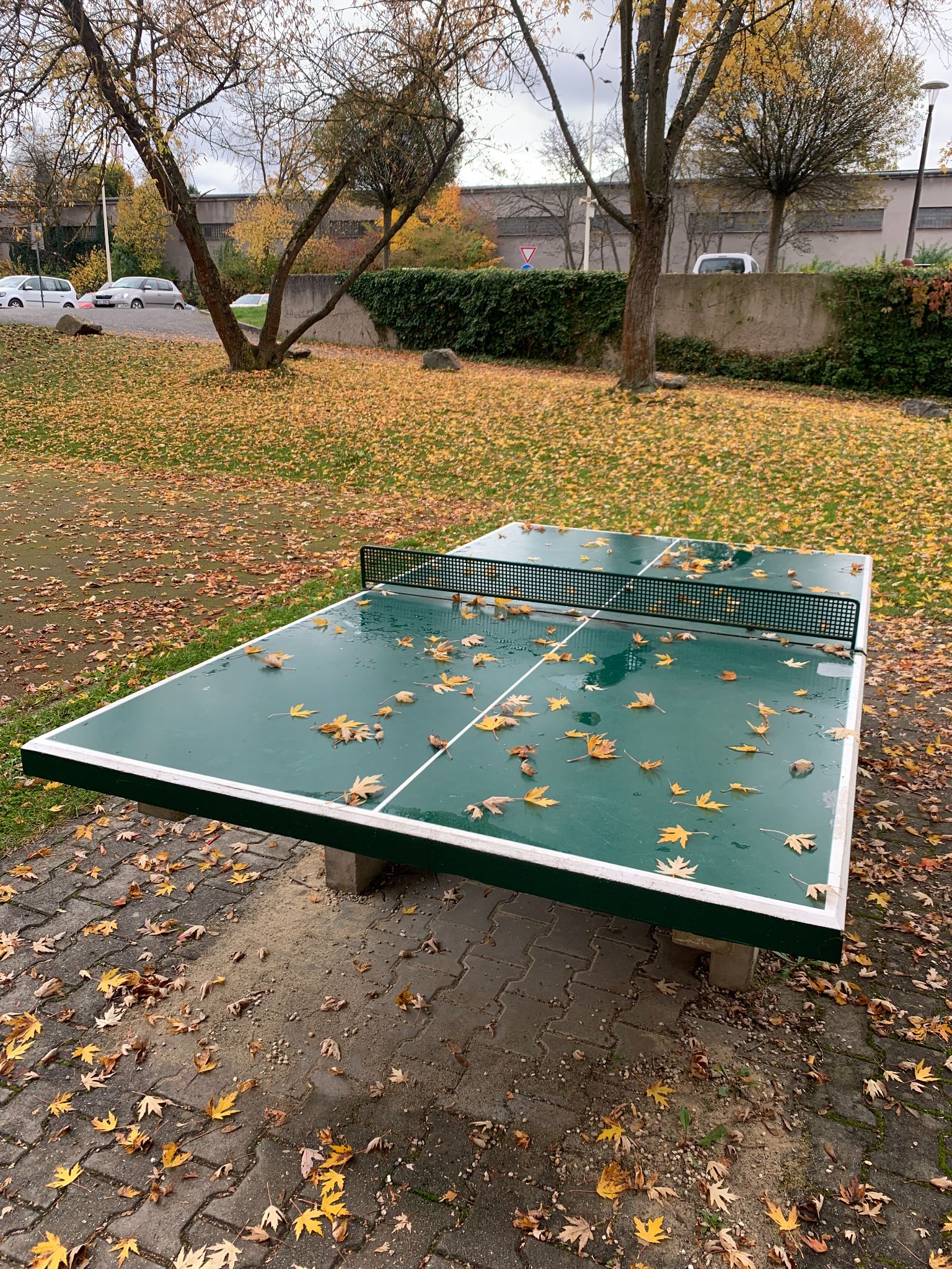 Pingpongový stůl Ping Pong Náchodská – Tábor