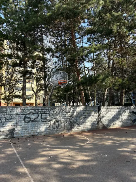 Basket Uzbecká