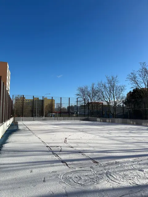Basket Hostinského
